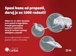 Hrvatski Caritas - Spasi kunu od propasti, daruj je za 1000 radosti!