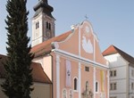 Svete mise u Varaždinskoj katedrali za vrijeme zabrane misnih slavlja s narodom