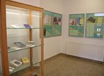 Izložba „Biblija kao lijek“ postavljena u Biskupijskoj knjižnici Varaždin uz Svjetski dan knjige