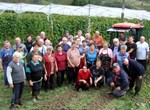 Berba u vinogradima Varaždinske biskupije na Varaždin-bregu