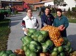 Jesensko prikupljanje hrane u župama Varaždinske biskupije
