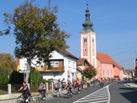 Na biciklijadi Župe sv. Roka održana i škola u prirodi - jesenska sadnja bugenvilija